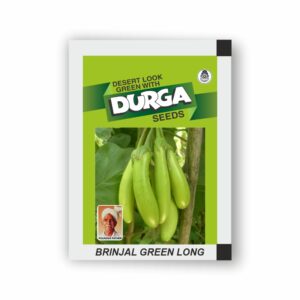 DURGA BRINJAL GREEN LONG (kitchen garden packet) (Minimum 10 Packets)