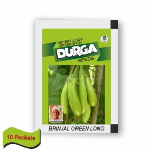 DURGA BRINJAL GREEN LONG (100 gm)(10 packets)