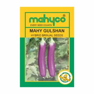 mahyco BRINJAL MAHY GULSHAN  10 GM