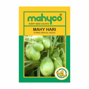 mahyco BRINJAL MAHY HARI   10 GM