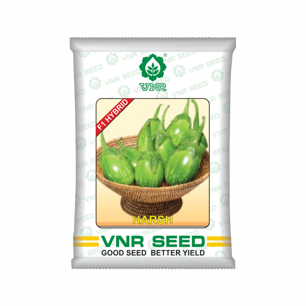VNR Brinjal hybrid harsh(10 GM)
