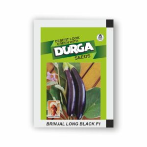 DURGA hybrid BRINJAL LONG BLACK F1(kitchen garden packet) (Minimum 10 Packets)
