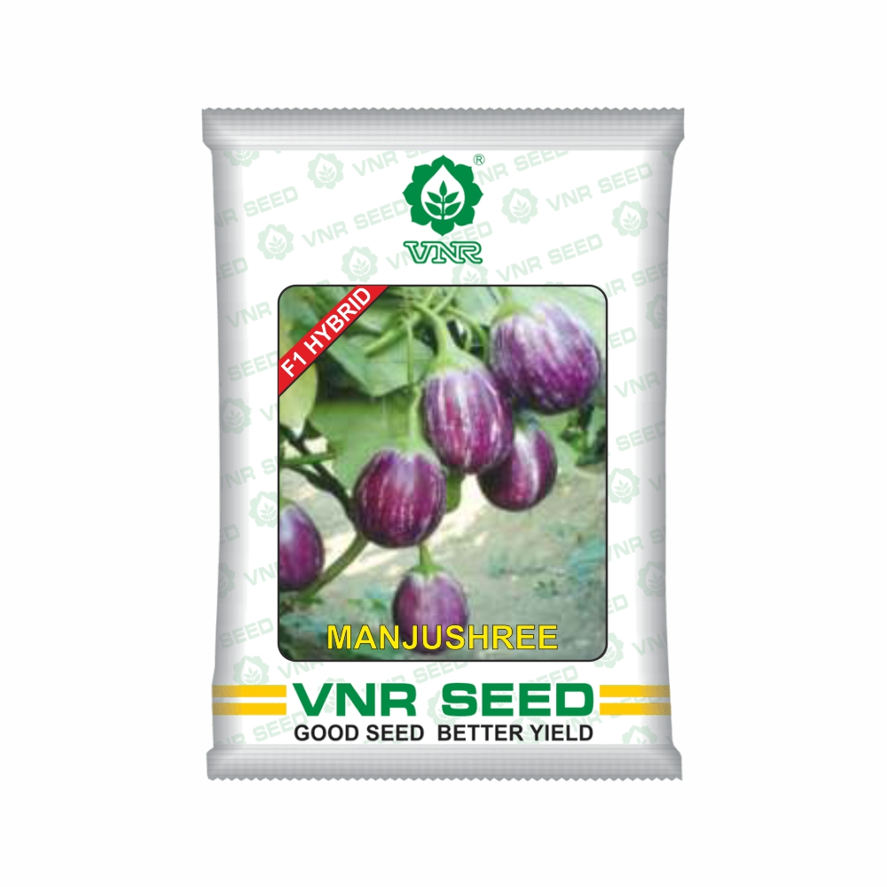 VNR Brinjal hybrid Manjushree (10 GM)