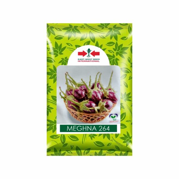 East West BRINJAL MEGHNA (10 GM)