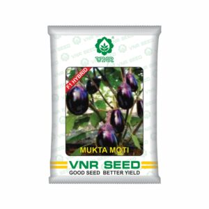 VNR Brinjal hybrid Mukta moti (10 GM)