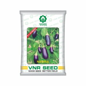 VNR Brinjal hybrid navina (10 GM)