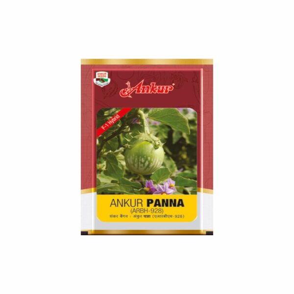 ANKUR BRINJAL PANNA-250GM