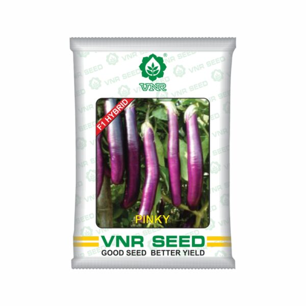VNR Brinjal hybrid pinky (10 GM)