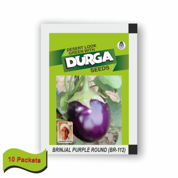 DURGA BRINJAL PURPLE ROUND (BR-112)(100 gm)(10 packets)