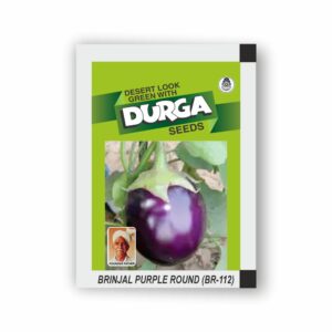 DURGA BRINJAL PURPLE ROUND (BR-112)(kitchen garden packet) (Minimum 10 Packets)