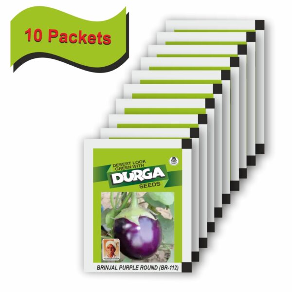DURGA BRINJAL PURPLE ROUND (BR-112)(100 gm)(10 packets) - Image 2