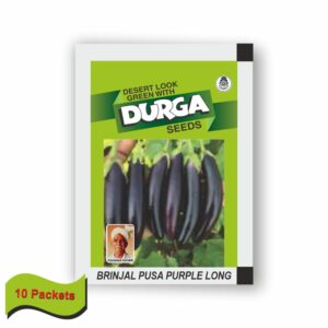 DURGA BRINJAL PUSA PURPLE LONG (100 gm) (10 packets)