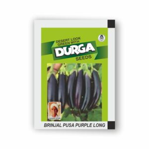 DURGA BRINJAL PUSA PURPLE LONG (kitchen garden packet) (Minimum 10 Packets)