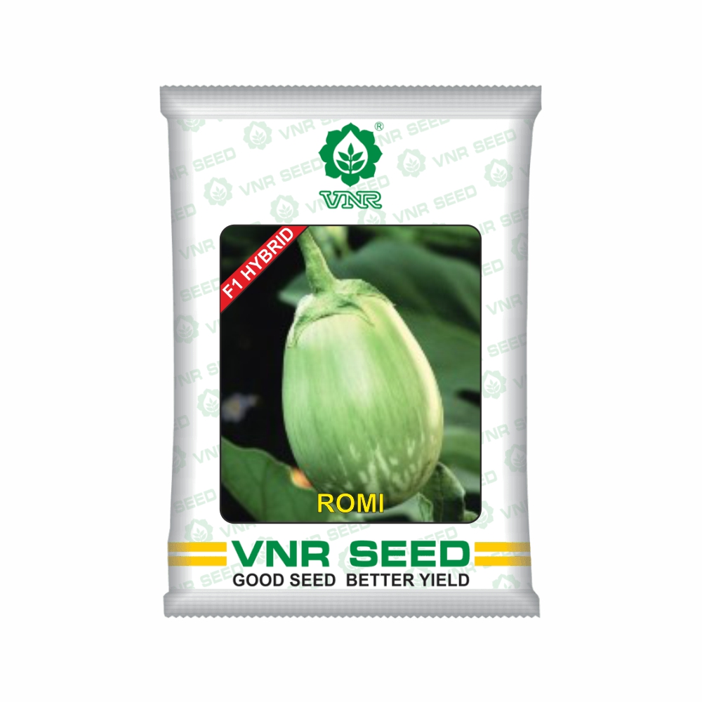 VNR Brinjal hybrid romi (10 GM)