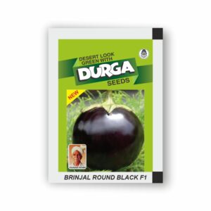 DURGA hybrid BRINJAL ROUND BLACK F1 (kitchen garden packet) (Minimum 10 Packets)