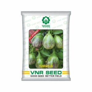 VNR Brinjal hybrid simran (10 GM)