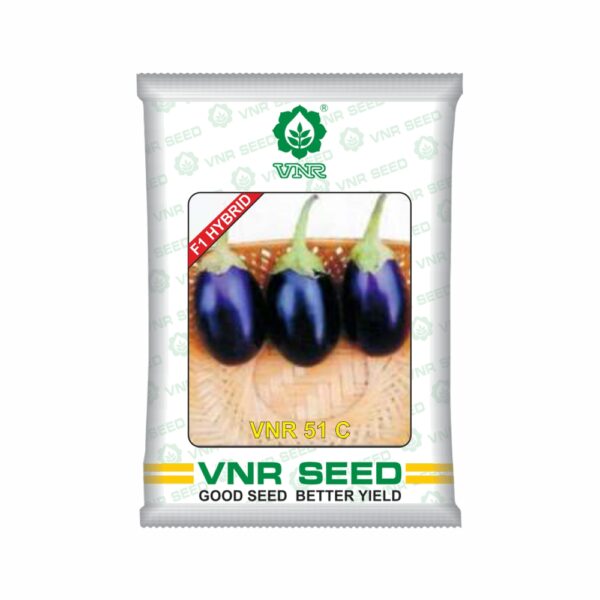 VNR Brinjal hybrid 51 C (10 GM)