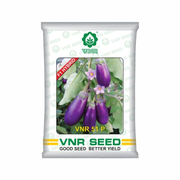 VNR Brinjal hybrid 51 P (10 GM)
