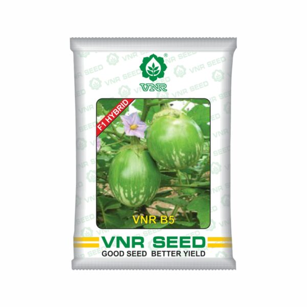 VNR Brinjal hybrid B5 (10 GM)