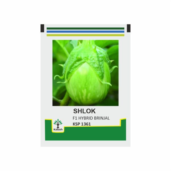 KALASH BRINJAL SHLOK (10 GM)