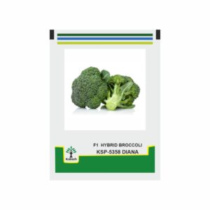 KALASH Exotic Broccoli KSP 5358 Diana (10 GM)