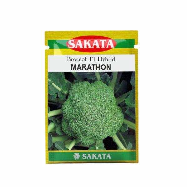 SAKATA BROCCOLI F1 MARATHON (10 GM) (POUCH)