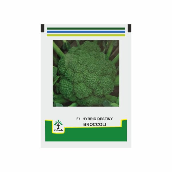 F1 HYBRID DESTINY BROCCOLI SEEDS (KALASH)