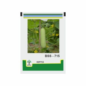 KALASH CUCUMBER BSS 715 (1000 SEEDS)