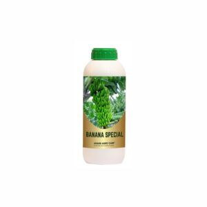 Anand Agro Banana Special (100 ml)