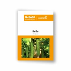 BASF Nunhems Cucumber Belle (250 Seeds)