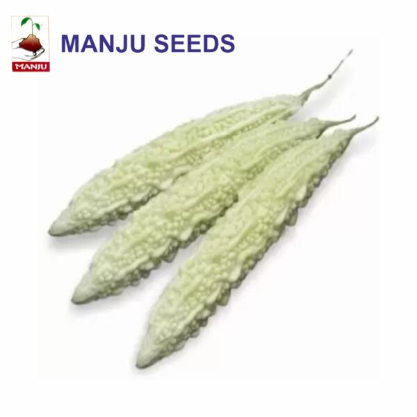 manju Bitter Gourd White long seeds (1 KG)(PACK OF 10)