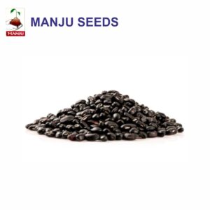 manju Black Gram seeds (1 KG)(PACK OF 25)