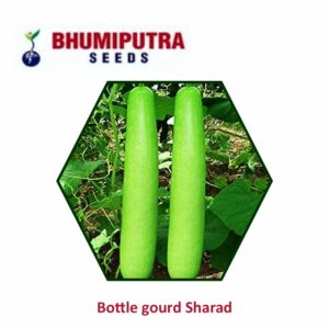 BHUMIPUTRA Hybrid Bottle gourd Sharad seeds (50 gm)