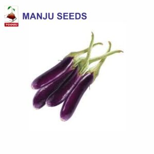 manju Brinjal Purple Long seeds (1 KG)(PACK OF 10)