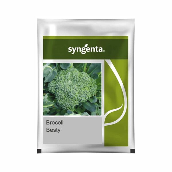 BROCCOLI Besty (1000 seed)