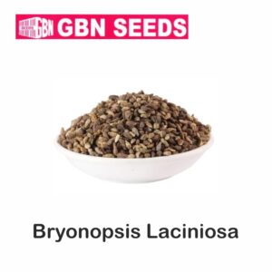GBN bryonopsis laciniosa(Shivlingi) seeds (1 KG)(pack of 10)