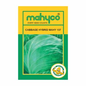 mahyco CABBAGE HY. MAHY 137 10 GM