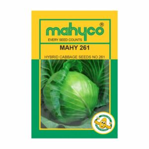 mahyco CABBAGE HY. MAHY 261 (NO.261)  10 GM