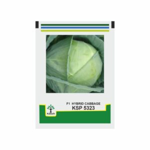 KALASH Cabbage	KSP 5323 (10 GM)