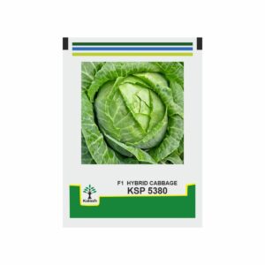 KALASH Cabbage	KSP 5380 (10 gm)
