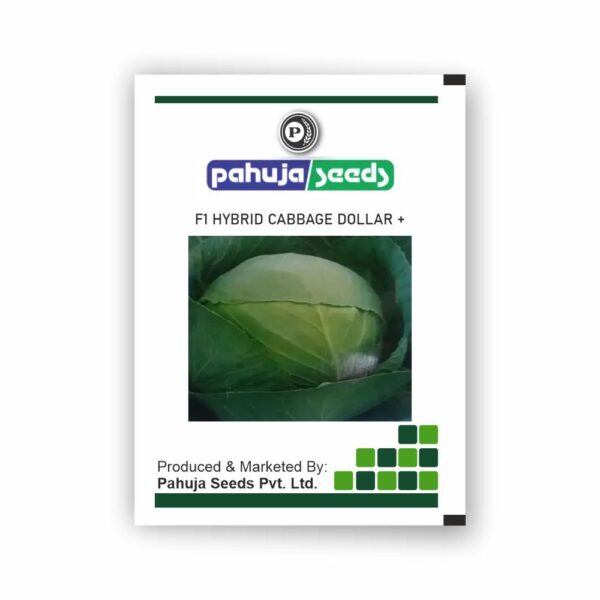 PAHUJA HY. CABBAGE DOLLAR PLUS - PAHUJA - (10GMS)