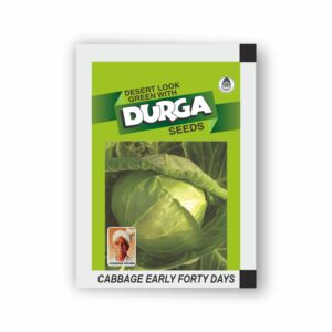 DURGA CABBAGE EARLY FORTY DAYS (KITCHEN GARDEN PACKET) (Minimum 10 Packets)