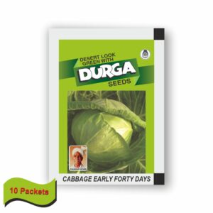 DURGA CABBAGE EARLY FORTY DAYS (10 GM) (10 PACKETS)