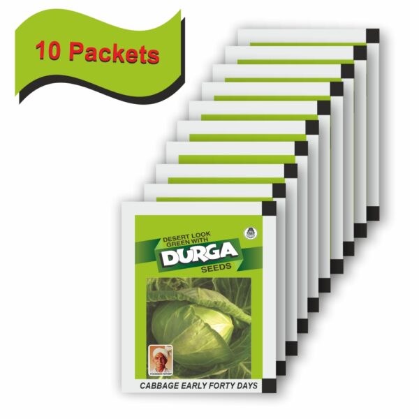 DURGA CABBAGE EARLY FORTY DAYS (10 GM) (10 PACKETS) - Image 2