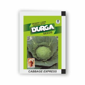 DURGA CABBAGE EXPRESS (KITCHEN GARDEN PACKET) (Minimum 10 Packets)