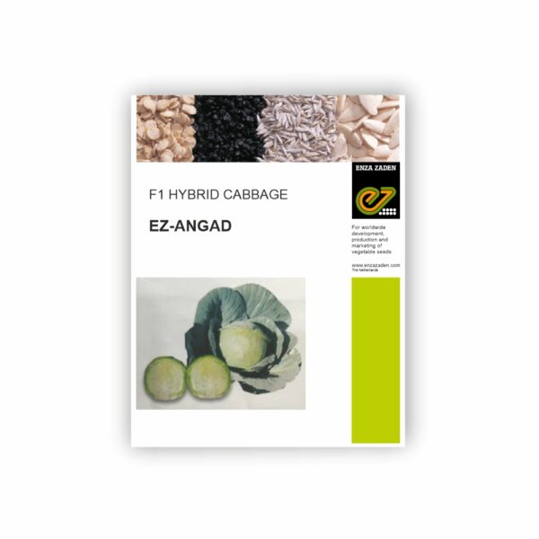 ENZA CABBAGE EZ ANGAD (10 GM)