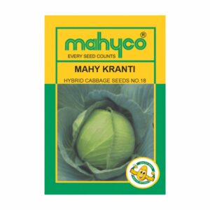 mahyco CABBAGE HY. MAHY KRANTI (NO.18)  10 GM