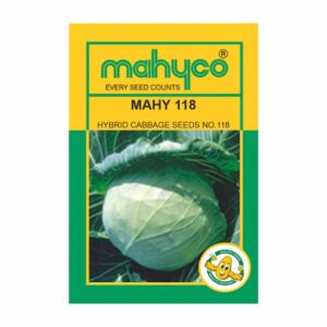 mahyco CABBAGE HY. MAHY 118 (NO.118) (10 GM)