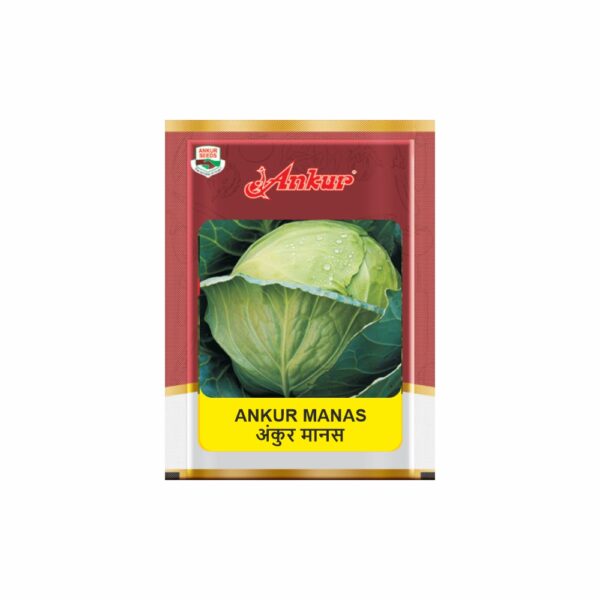 ANKUR CABBAGE MANAS- 250 GM