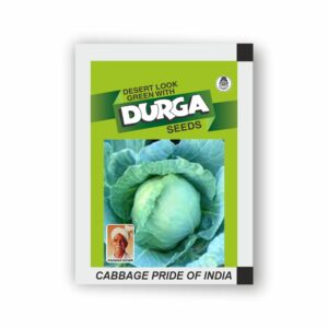 DURGA CABBAGE PRIDE OF INDIA (500 GM)